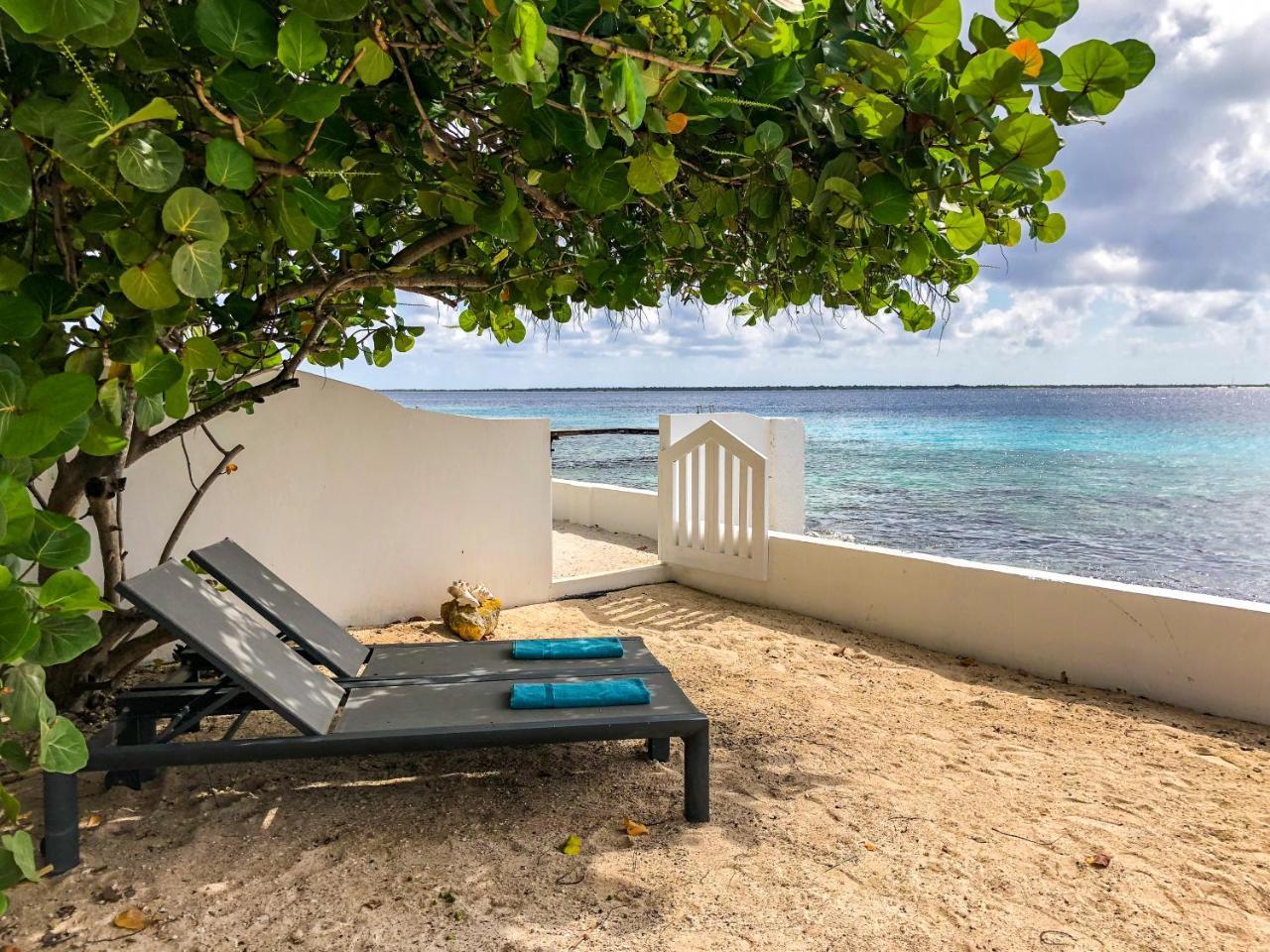 One Ocean Boutique Apartments & Suites Bonaire Kralendijk  Exterior photo